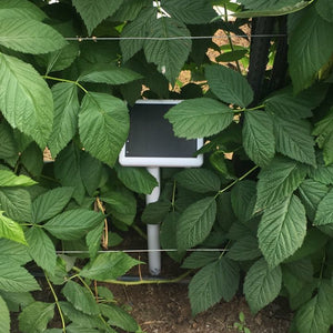 TERRA All-in-one Soil & Ambient Sensor