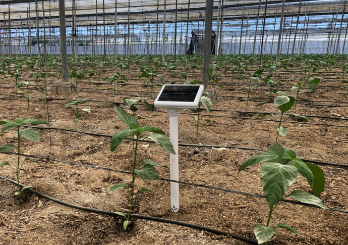 How Smart Agriculture Sensors Can Increase Yield and Prevent Crop Diseases