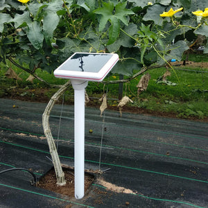 TERRA All-in-one Soil & Ambient Sensor